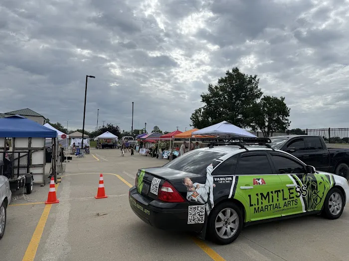 Limitless Martial Arts Picture 2