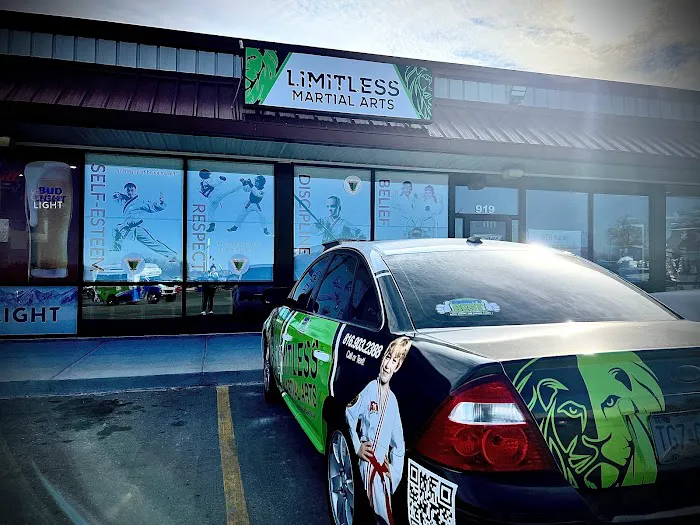 Limitless Martial Arts Picture 4