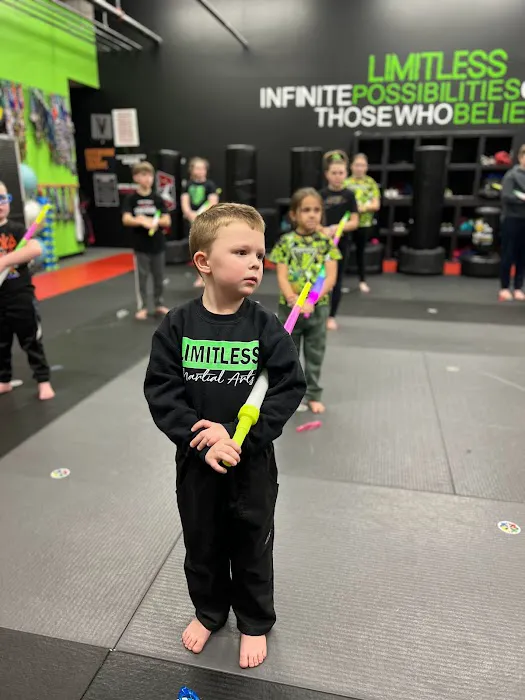 Limitless Martial Arts Picture 7