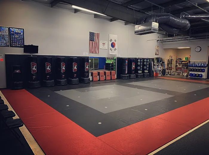 Limitless Martial Arts Picture 9