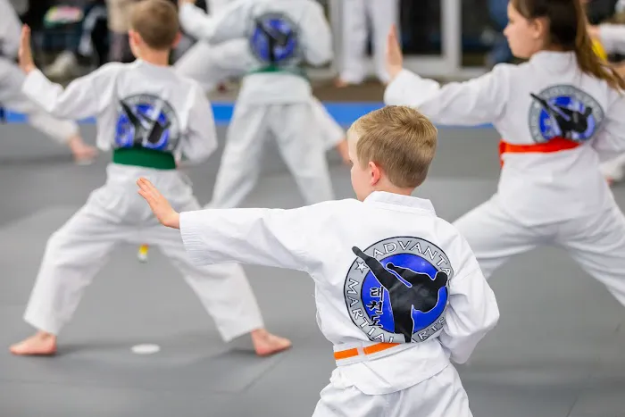 Advantage Martial Arts Picture 8