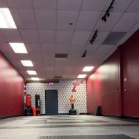 WOLF Martial Arts ico