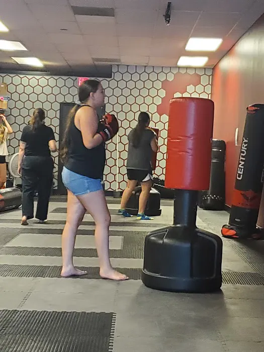 WOLF Martial Arts Picture 7