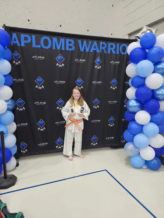 Aplomb Martial Arts Lenexa Picture 2