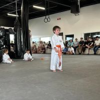 AmeriKick Martial Arts Lenexa ico