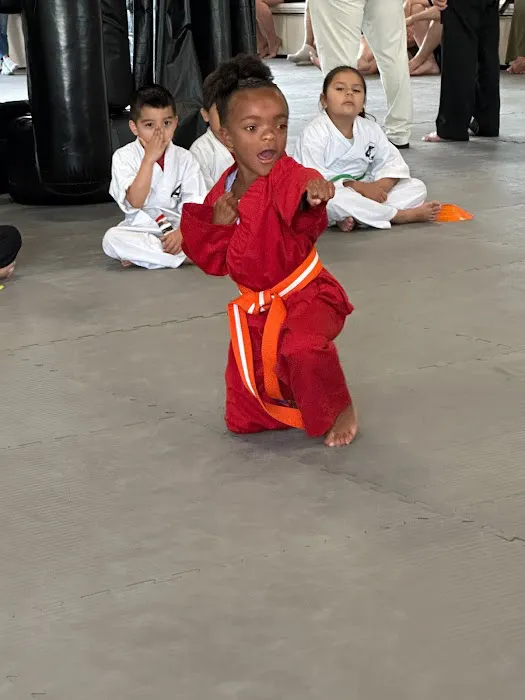 AmeriKick Martial Arts Lenexa Picture 6