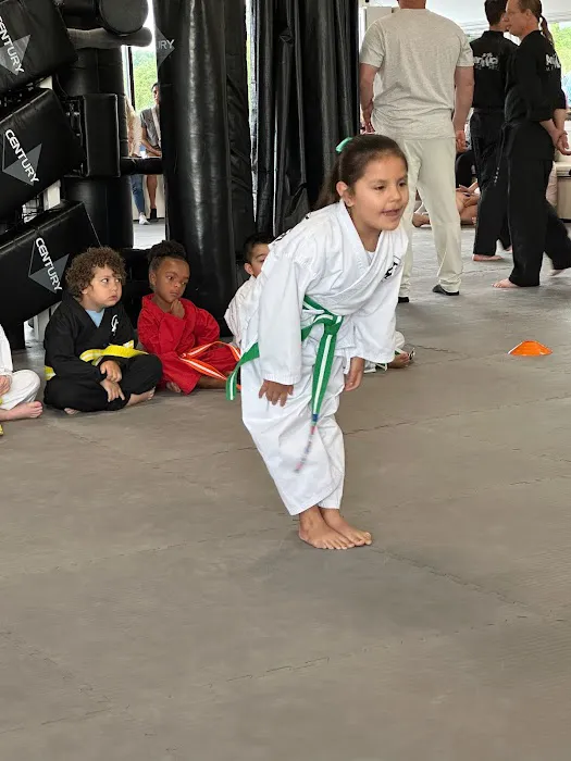 AmeriKick Martial Arts Lenexa Picture 7