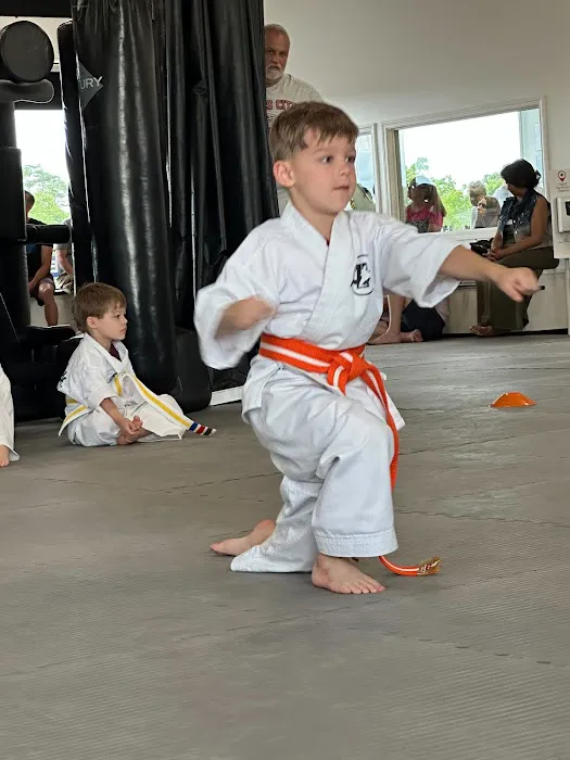 AmeriKick Martial Arts Lenexa Picture 9