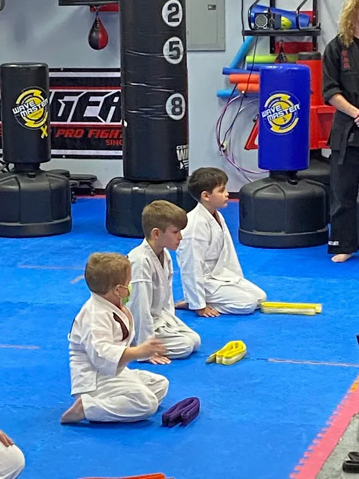 Total Martial Arts Center-A Jeff Speakman Kenpo 5.0 Training Facility Picture 6