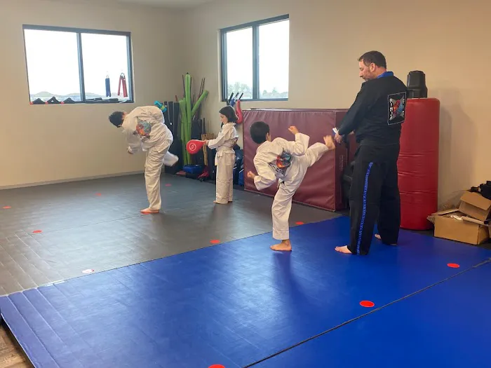 Ninja Fit - De Soto Picture 1