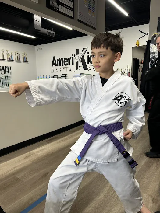Amerikick Martial Arts Blue Springs Picture 9