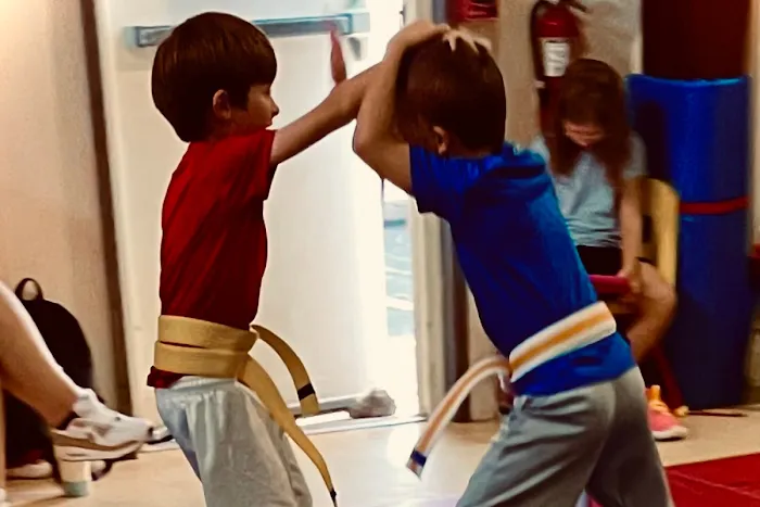 Imelda Martial Arts & Krav Maga Picture 5