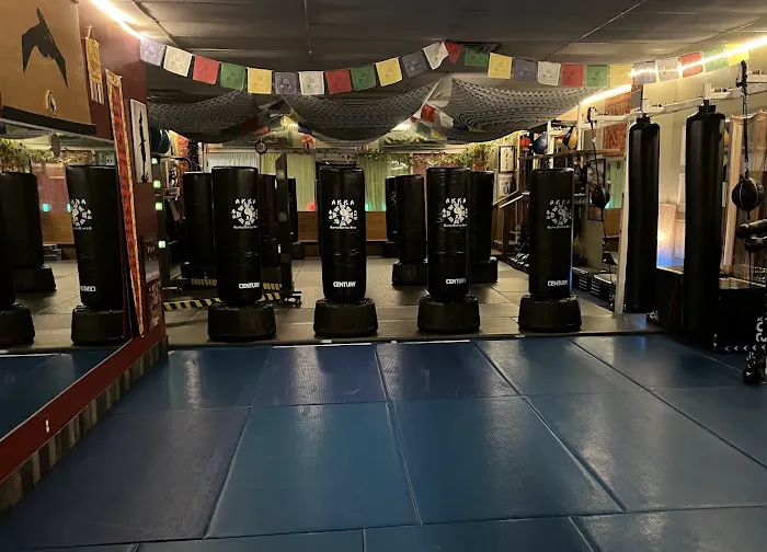 AKKA Olathe Martial Arts Picture 2