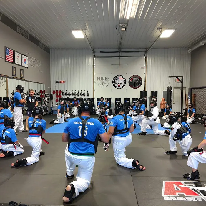 Forge Martial Arts Picture 2