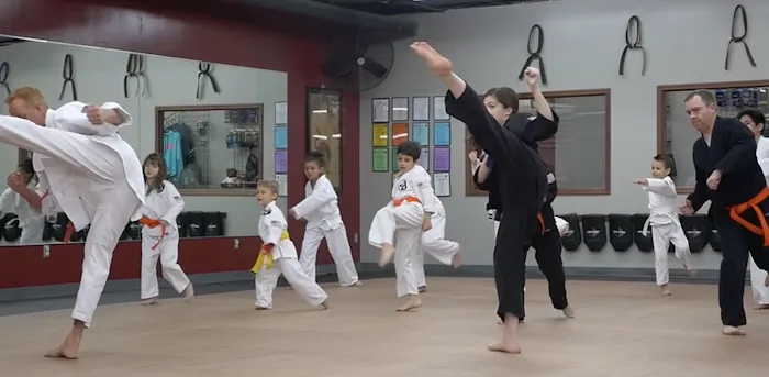 Olathe Karate Academy Picture 2