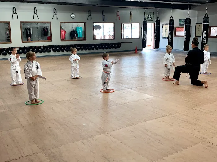 Olathe Karate Academy Picture 1