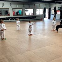 Olathe Karate Academy ico