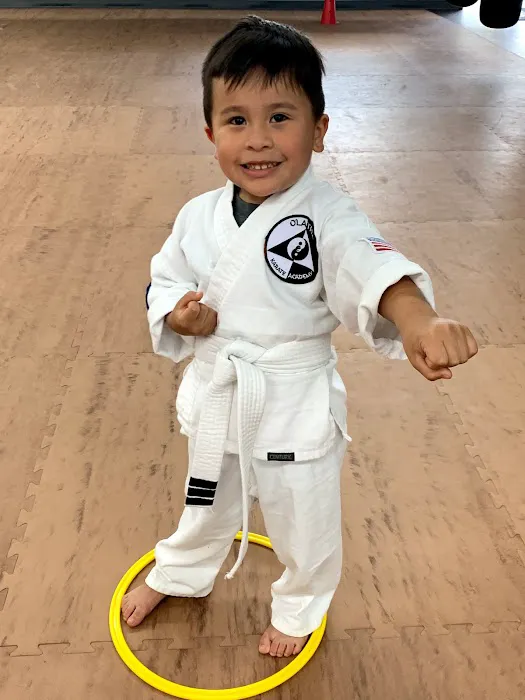 Olathe Karate Academy Picture 4