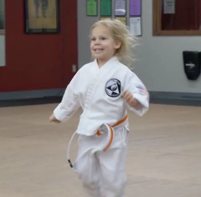 Olathe Karate Academy Picture 7