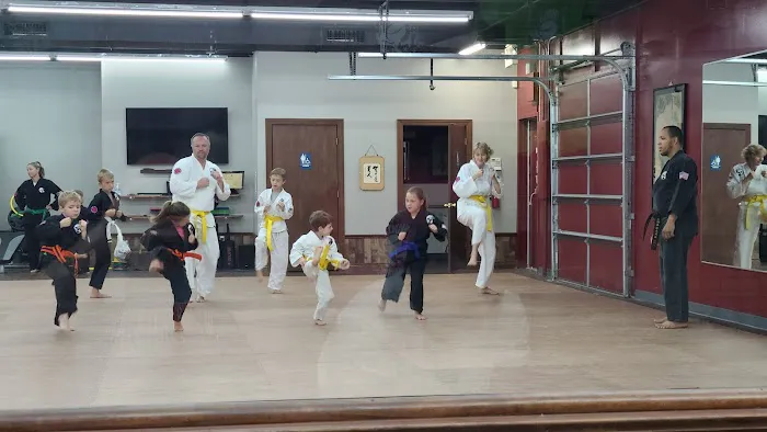 Olathe Karate Academy Picture 6