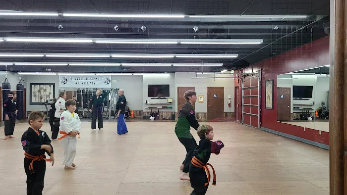 Olathe Karate Academy Picture 5
