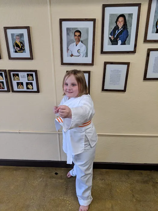 Sagasu Family Martial Arts Picture 7