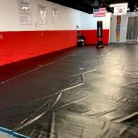 Hunter Hapkido Academy ico