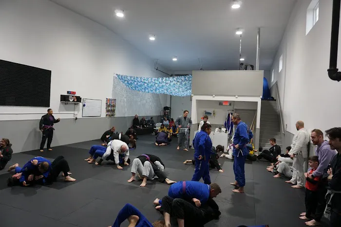 Ground Theory Jiu Jitsu Picture 3