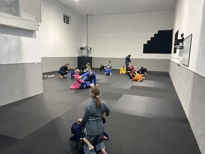 Ground Theory Jiu Jitsu Picture 1