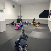 Ground Theory Jiu Jitsu ico