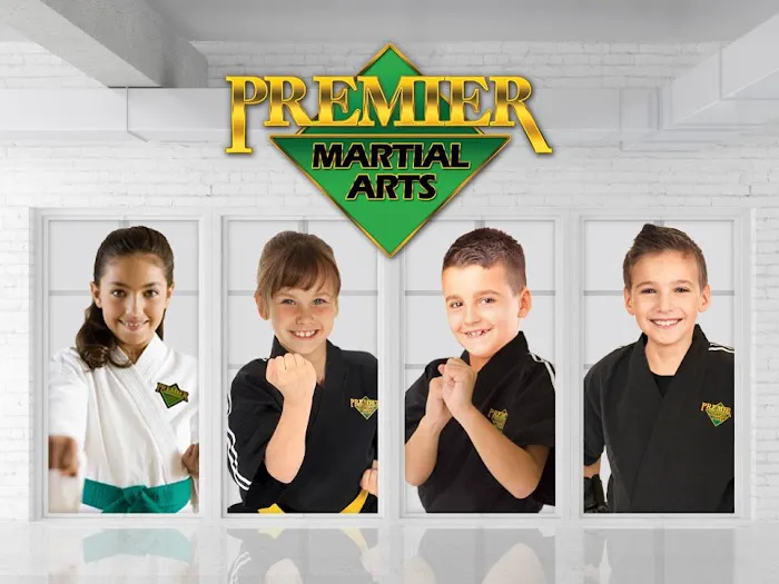 Premier Martial Arts - Lawrence, KS Picture 3
