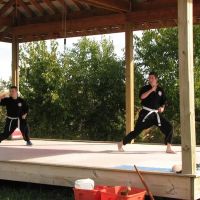 WhiteHorse Chinese Kempo ico