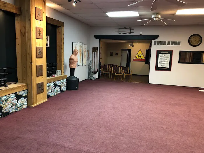 Professional Martial Arts Picture 3