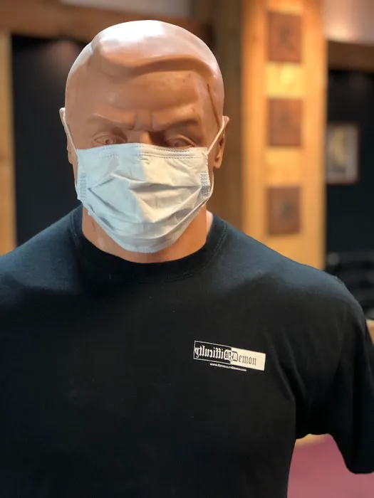 Professional Martial Arts Picture 2