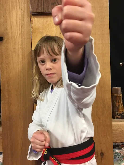 Professional Martial Arts Picture 1