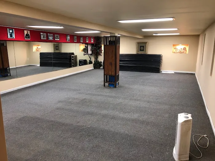 Professional Martial Arts Picture 5