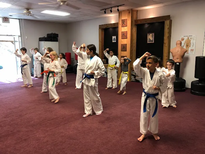 Professional Martial Arts Picture 6