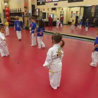 Vigilance Martial Arts - Topeka ico