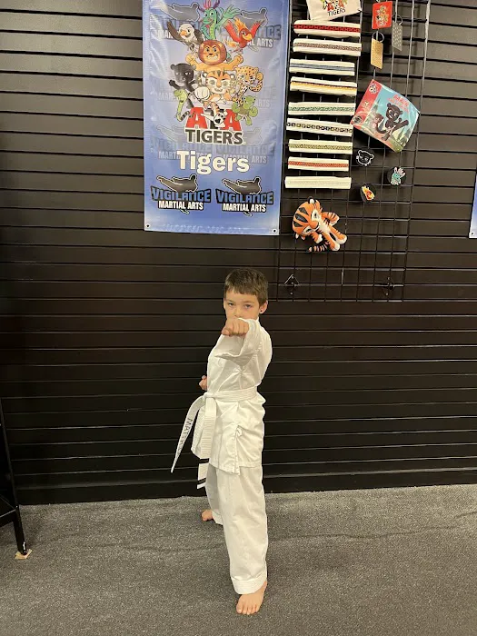Vigilance Martial Arts - Topeka Picture 2