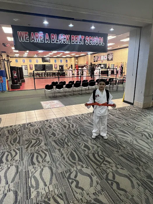 Vigilance Martial Arts - Topeka Picture 3