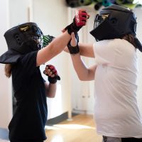 Dallas Wing Chun Academy ico