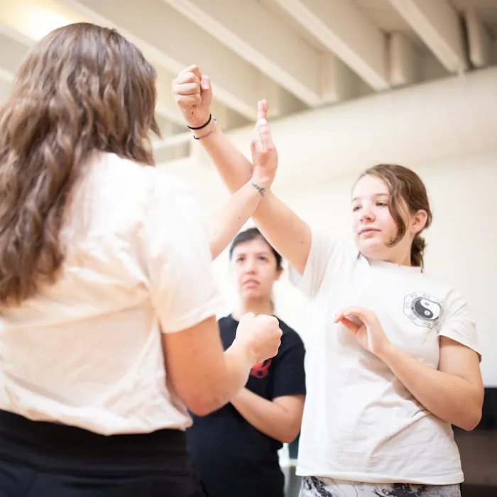 Dallas Wing Chun Academy Picture 9