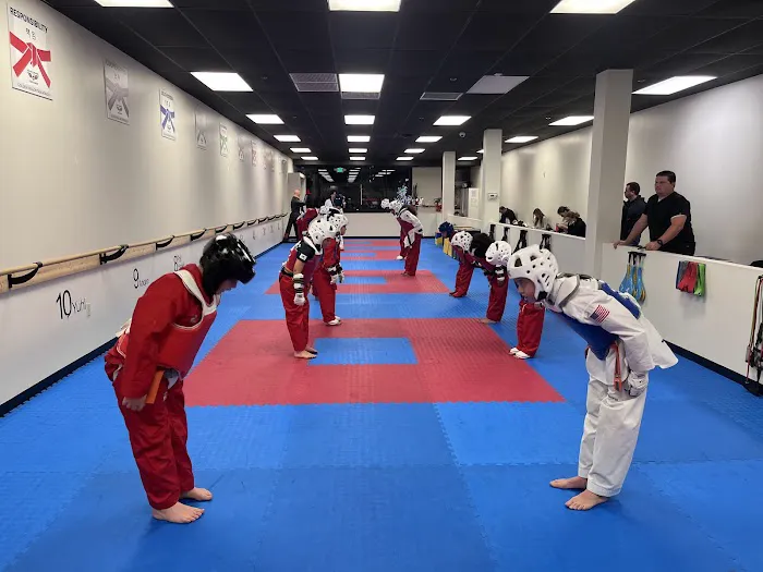 Golden Dragon Taekwondo - Midtown Picture 3