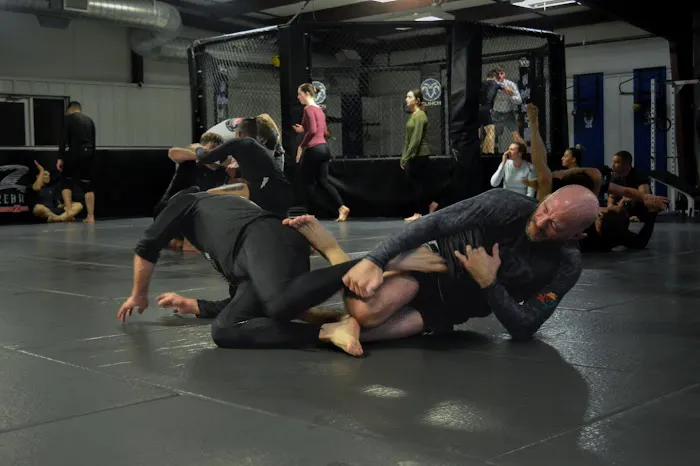 Combat Warriors Martial Arts Picture 3