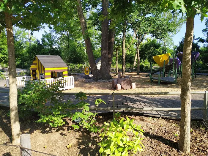 Tulsa Kung Fu Picture 7