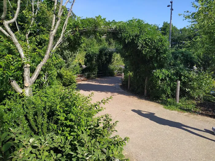 Tulsa Kung Fu Picture 9