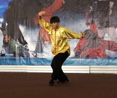 Luohan Wushu Kung Fu Center