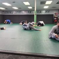 Strike Martial Arts Academy ico