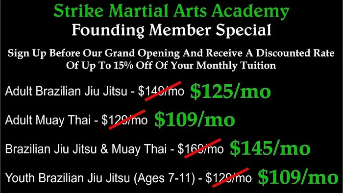 Strike Martial Arts Academy Picture 2