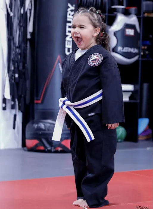 Jenks Martial Arts Academy Picture 6